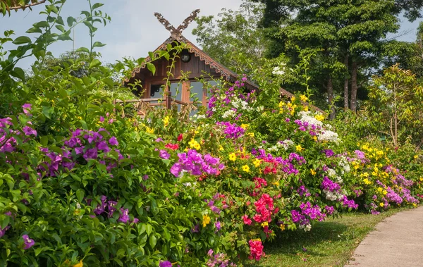 小さな木の家とたくさんの花 — ストック写真