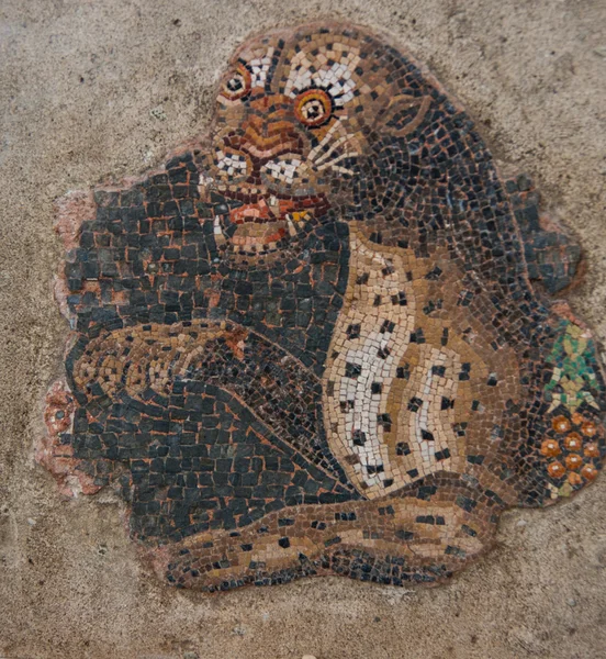 Antiguos mosaicos en Delos — Foto de Stock