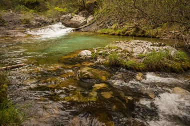 Nehir şelale Olimpos Dağı üzerinde