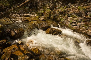 Nehir şelale Olimpos Dağı üzerinde
