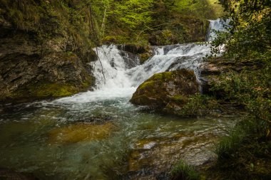 Nehir şelale Olimpos Dağı üzerinde