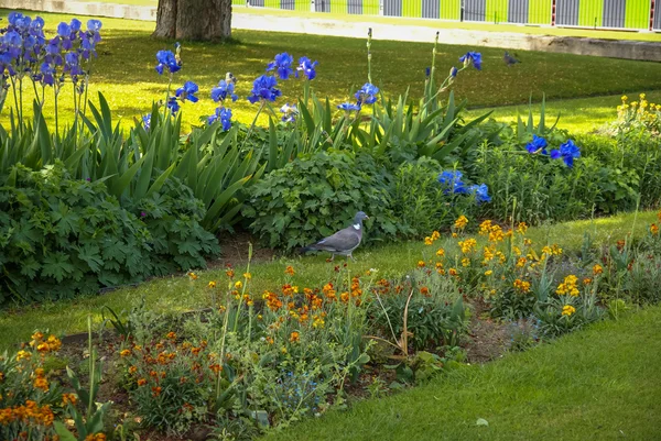 Jarní zahrady v Giverny, Francie — Stock fotografie