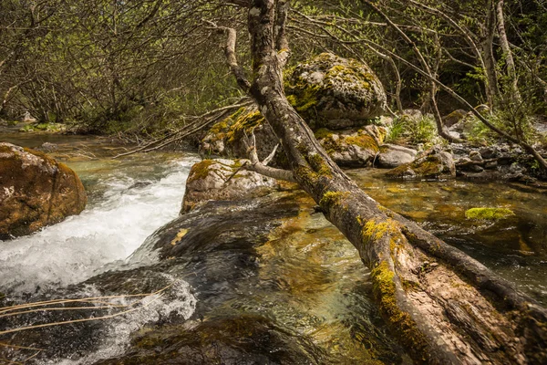 River with waterfall on Mount Olympus — Stock Photo, Image
