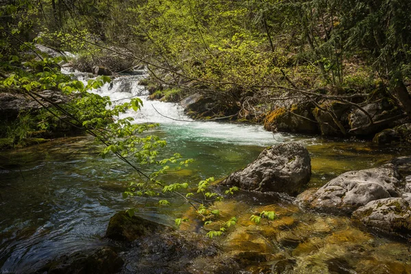 Río con cascada en el Monte Olimpo — Foto de Stock