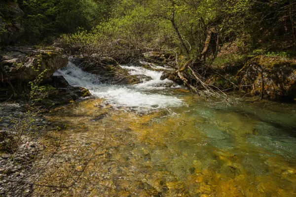 オリンポス山に滝の川 — ストック写真