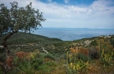 dağ ve deniz manzara