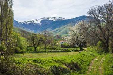 Çayır ve meyve ağaçları dağların üzerinde