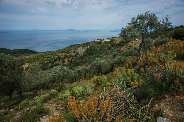 Paisaje con mar y montaña —  Fotos de Stock