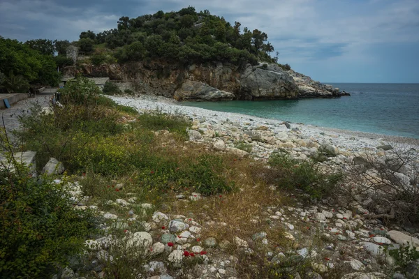 Paisaje marino con flores —  Fotos de Stock