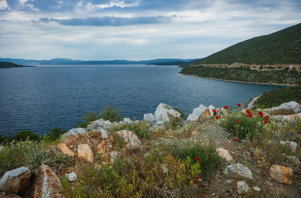 Paisaje marino con flores — Foto de Stock