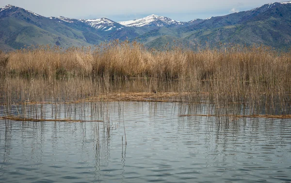 Picturesque view of Lake Prespa — Stok Foto