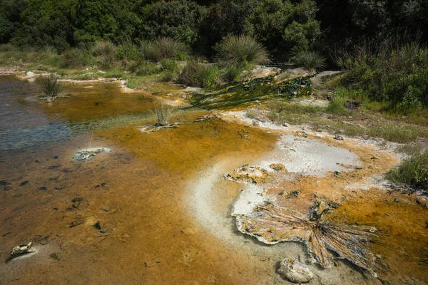 Springs in Thermopiles, Grecia — Foto Stock