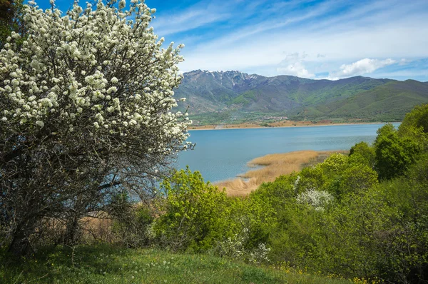 Mountains and Lake Prespa — Stock Photo, Image