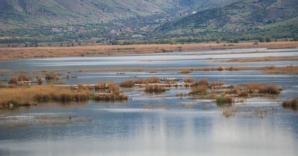 มุมมองที่สวยงามของทะเลสาบ Prespa — ภาพถ่ายสต็อก