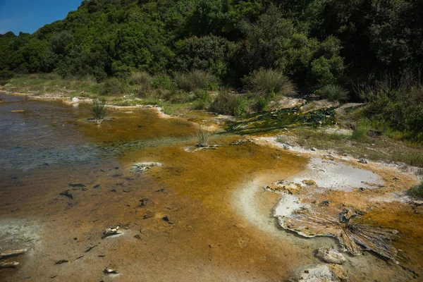 Springs in Thermopiles, Greece — Stock Photo, Image