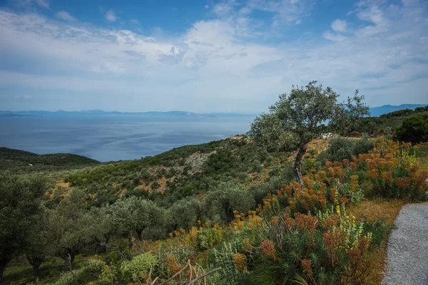 Landscape with sea and mountain — Stock Photo, Image