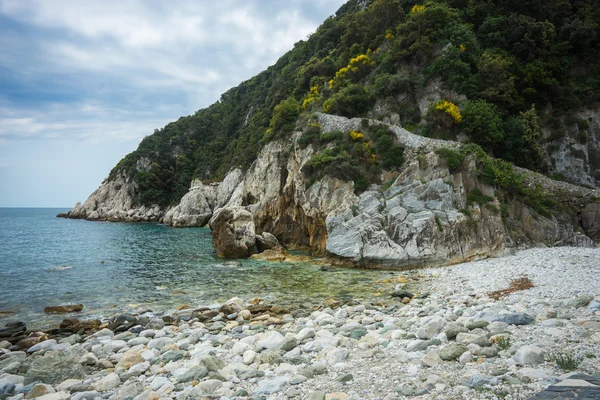 Pintoresca playa de Damouhari — Foto de Stock