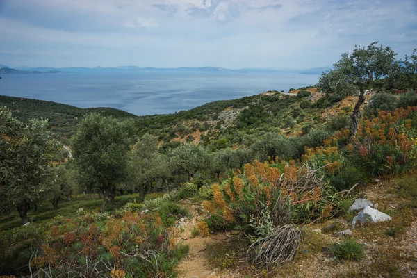 Краєвид з морем і горою — стокове фото