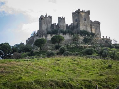 Almodovar del Rio, Ortaçağ Kalesi