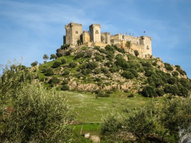 Almodovar del Rio, Ortaçağ Kalesi