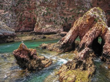 kayalıklarla ve kayalar yakınındaki ada Berlenga