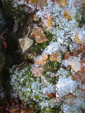 Kış Tobera, İspanya