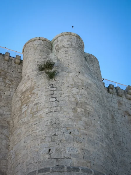 Ruïnes van het kasteel in Iscar — Stockfoto