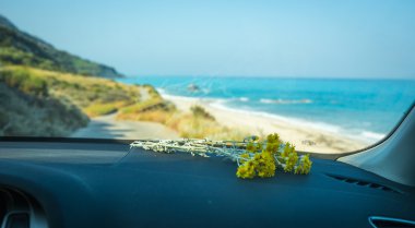 Araba Kalamitsi plajda, Lefkada çiçekli