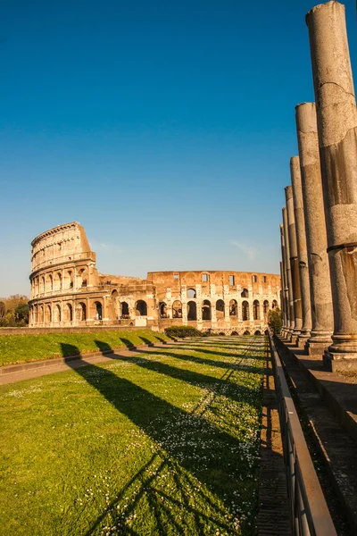 Ruines of Colloseum, Rome — Stok Foto
