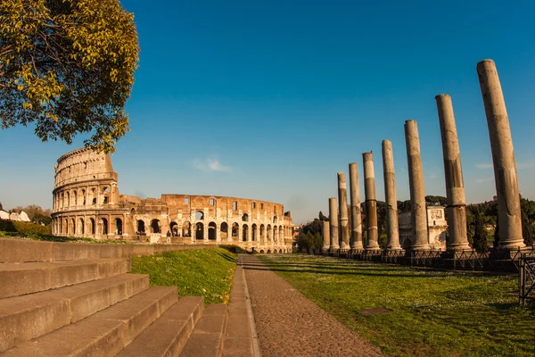 Ruines av Colloseum, Rom — Stockfoto