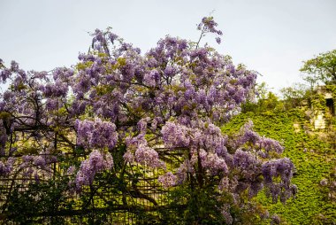 Cityscape çiçekli Montresor, Fransa