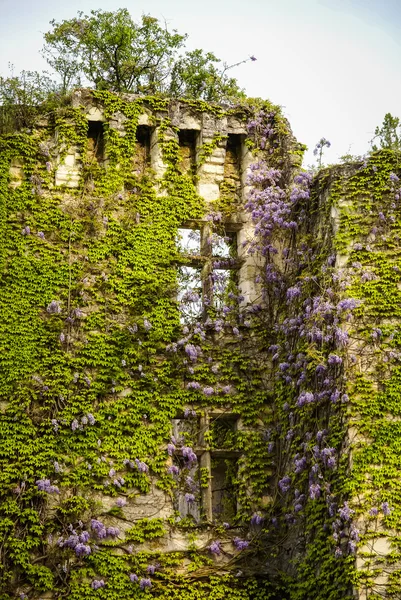 Paisaje urbano con flores en Montresor, Francia —  Fotos de Stock