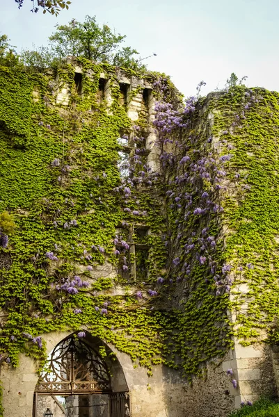 Cityscape çiçekli Montresor, Fransa