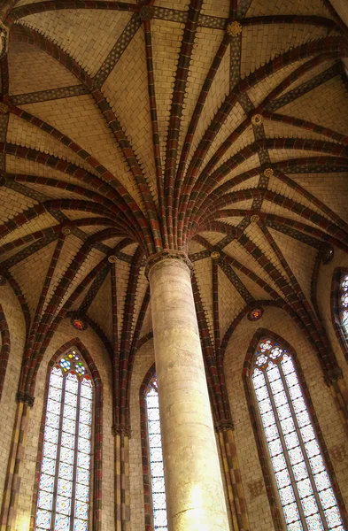 Kathedraal in Toulouse, Frankrijk — Stockfoto