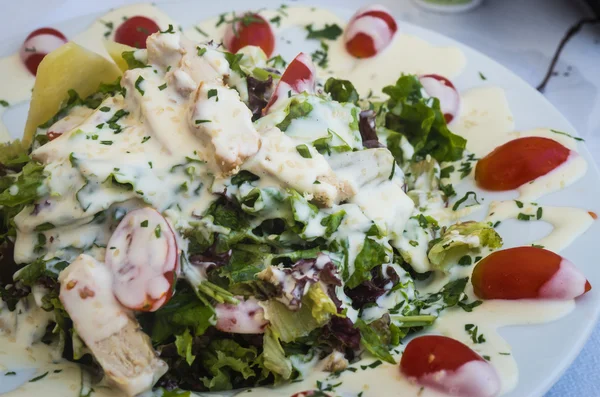 Insalata di argontula con pomodorini ciliegini, pollo — Foto Stock