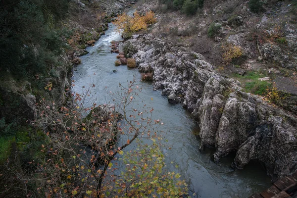 Karytaina 近くの川のある風景します。 — ストック写真