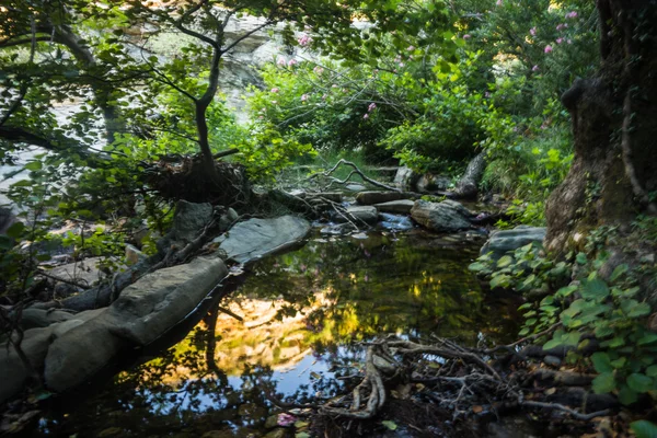 Paisaje con río en la isla de Andros —  Fotos de Stock