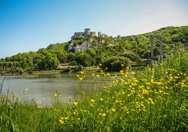 Ruins of ancient castle on river shore — Stock Photo, Image