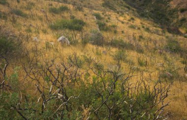 Kythira Adası güzel manzara