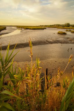Comporta, Portekiz manzara