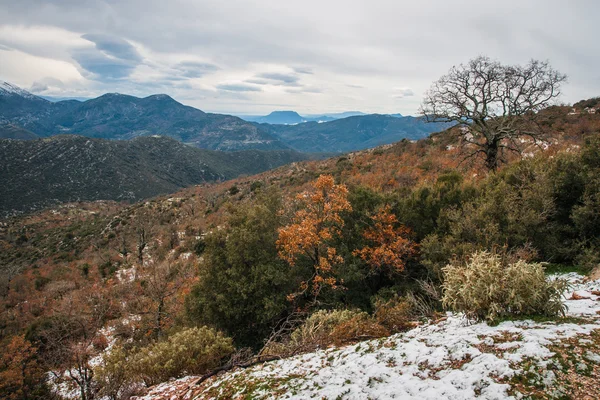 Paesaggio invernale in montagna vicino a Vassa — Foto Stock