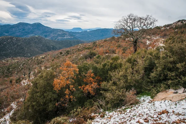 Paisagem de inverno nas montanhas perto de Vassa — Fotografia de Stock