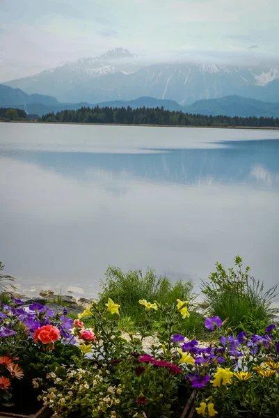 Landscape with lake and flowers in Bavaria — Stock Photo, Image