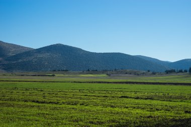 Green plains and mountains around Vitina clipart