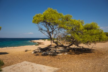 Deniz kıyısında ada Moni, Yunanistan