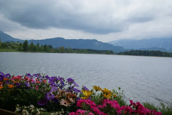 湖とババリアの花風景します。 — ストック写真