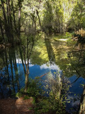 Kaynak Nehri'nin Cuervo, Cuenca, Castilla la Mancha, İspanya