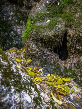 Kaynak Nehri'nin Cuervo, Cuenca, Castilla la Mancha, İspanya