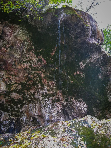 Fonte do rio Cuervo, Cuenca, Castilla la Mancha, Espanha — Fotografia de Stock