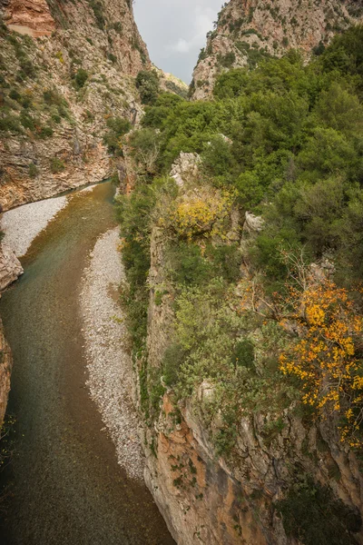 Bir nehir ile doğal dağ sonbahar manzarası — Stok fotoğraf